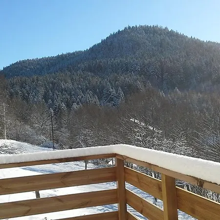 Du Poirier Σπίτι διακοπών Le Tholy