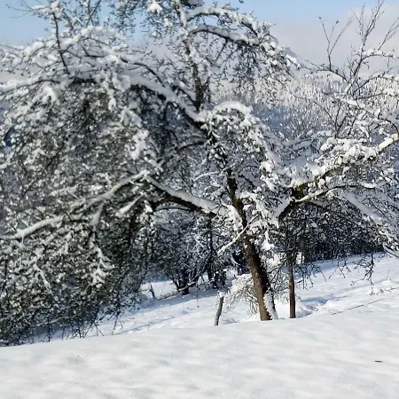 Du Poirier Hébergement de vacances *