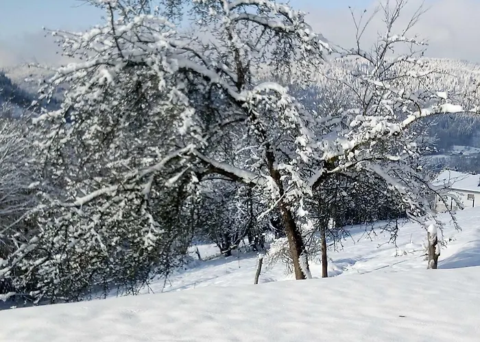 Du Poirier Hébergement de vacances *