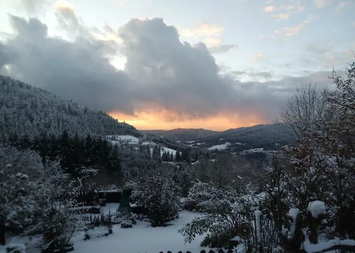 Du Poirier * 勒索里